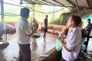 Authorities intensify efforts to combat African swine fever outbreak