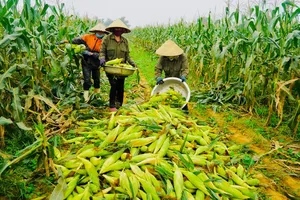 Ministry proposes to revise VAT policies for livestock sector