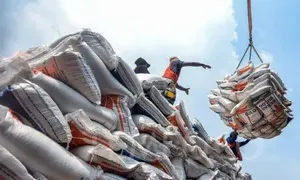 Responsible ministry seeks solutions for rice export crisis