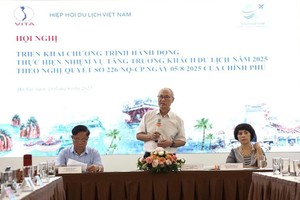 Vietnam steps up digital promotion, tourism surveys to boost int'l arrivals