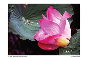 Photo exhibition of the Elderly bridge generations in HCMC