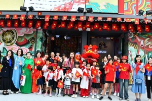 Vietnamese children in Japan, Austria celebrate Mid-Autumm Festival