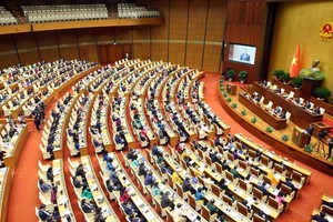 NA deputy urges bold appointments of virtuous and talented individuals