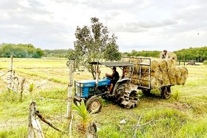 Ahead of National Party Congress: Farmers upbeat about support for agriculture