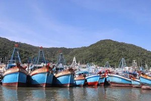 Provinces take firm action against illegal fishing vessels