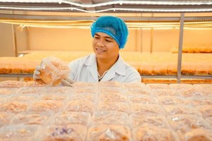 Youth-driven innovation fuels Ho Chi Minh City's development goals