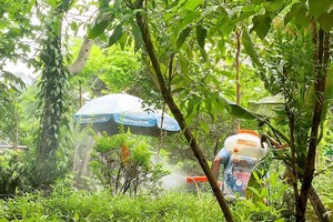 Vietnam records over 100,000 dengue cases annually amid rising unpredictability