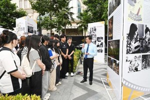 Vietnam film institute celebrates 2025 with key cultural and global achievements