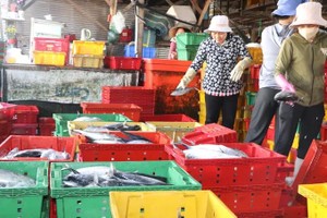 Fishery sector works to untangle MMPA through sustainable red crab practices