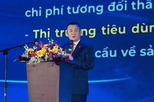 Chinese enterprises seek sustainable investment opportunities in Vietnam