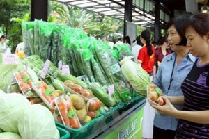 Ministry of Trade & Industry highlights Vietnamese Brand Day