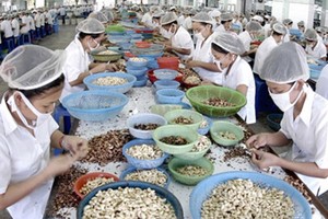 Illustrative photo:SGGP