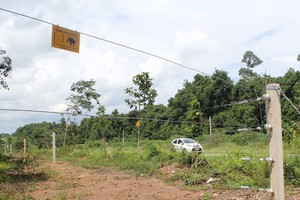 A 50km long electric fence has been put into operation on a trial basis to prevent wild elephants from wandering into residential areas in Dong Nai province. (Photo: dantri.com.vn)