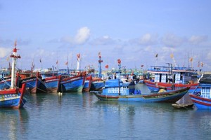 Fishing boats avoid storm in Ly Son Island. 