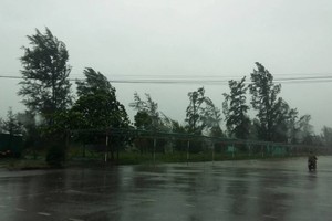 All schools in Da Nang closed for safety during  typhoon Doksuri