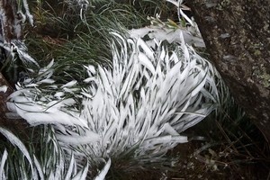 Temperature in Sa Pa is measured at 1.3 degrees Celsius (Photo:VNA)