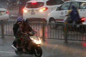 Usagi triggers downpour in Ho Chi Minh City on the large scale
