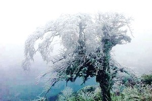 Ice and snow blanket are warned to occur in northern mountaintop