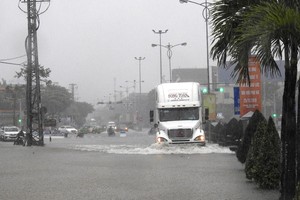High rainfall pours Da Nang city 