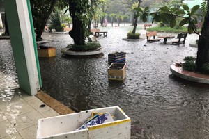 People need to clean environment where mosquitoes can lay eggs. (photo:SGGP)