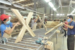 (Illustrative photo:SGGP)