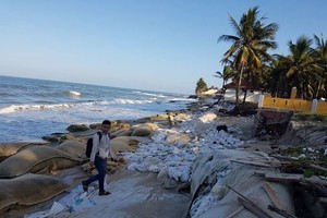 Cua Dai beach has been seriously eroded for years (Photo: tienphong.vn)
