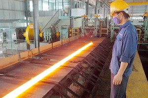 Vietnam imports nearly 100 percent of materials for steel production 