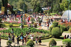 Tourist number to Da Lat city is expected to surge during upcoming five- day national holiday. 