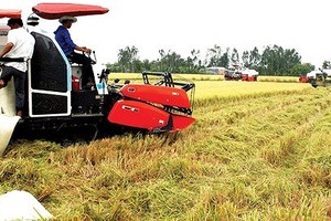 Free trade agreements create big opportunities for agriculture sector