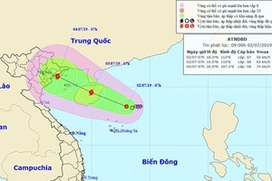 Tropical depression is powerfully operating in the East Sea