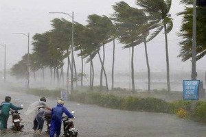 (Illustrative photo:SGGP)