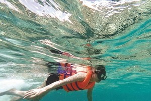 Tourists experience diving and seeing coral at Dam Trau beach.