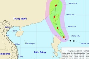Typhoon “Danas” triggers downpours and violent wind in East Sea