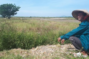 (Illustrative photo:SGGP)