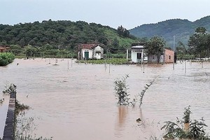 Nearly 200 houses flooded after 5 hour rainfall in Lam Dong province