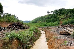 Landslide along sea dyke kills 19 people, leaves many missing in Ca Mau