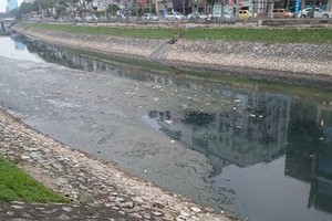 (Illustrative photo:SGGP)