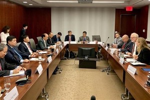 The Vietnamese delegation joins a working session with experts of the Centre for Strategic and International Studies (CSIS) (Photo: VNA)