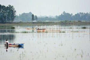 Floodwater level will continue raising in Mekong Delta River in the next few days