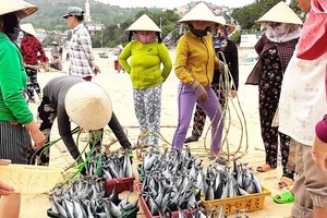 (Illustrative photo:SGGP)