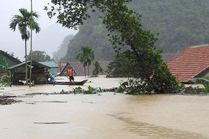 (Illustrative photo:SGGP)