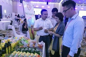 Illustrative image (Photo: VNA) 