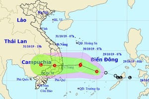 A tropical low pressure system is operating powerfully in the East Sea (Photo: NHMFC)