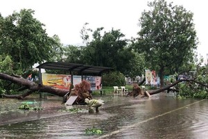 (Illustrative photo: the Central Steering Committee on Natural Disaster Prevention and Control))