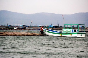 South- Central provinces urgently cope with typhoon Nakri