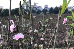 Country mainly enjoys sunny weather this week 