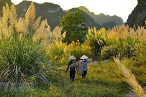 Ninh Binh is home to Trang An Landscape Complex - which is recognised by UNESCO as the world’s mixed cultural and natural heritage, the first of its kind in Southeast Asia. (Photo: VNA)