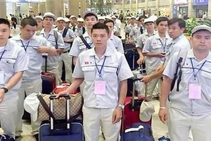 Vietnamese accounted for 55 percent of foreign workers in Japan
