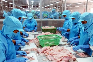Vietnam's total seafood export value in January dropped by 12.5 per cent to US$644 million year-on-year. Photo baodansinh.vn
