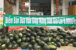 Many enterprises support Vietnamese fresh fruits in consumption (Photo:Le Nam)